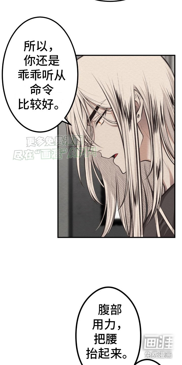 第5章：所有物