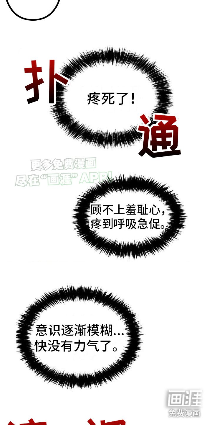 第5章：所有物