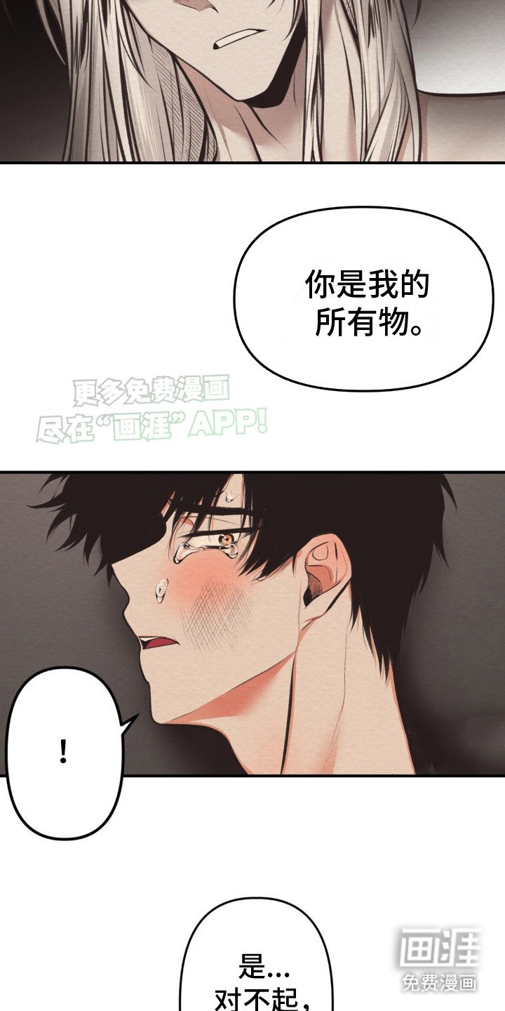 第5章：所有物