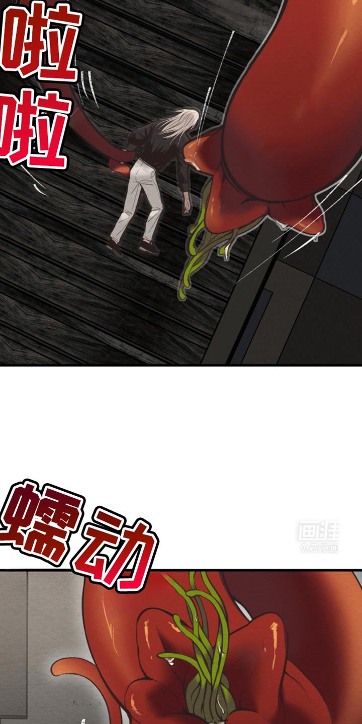 第52章：得去见扎克