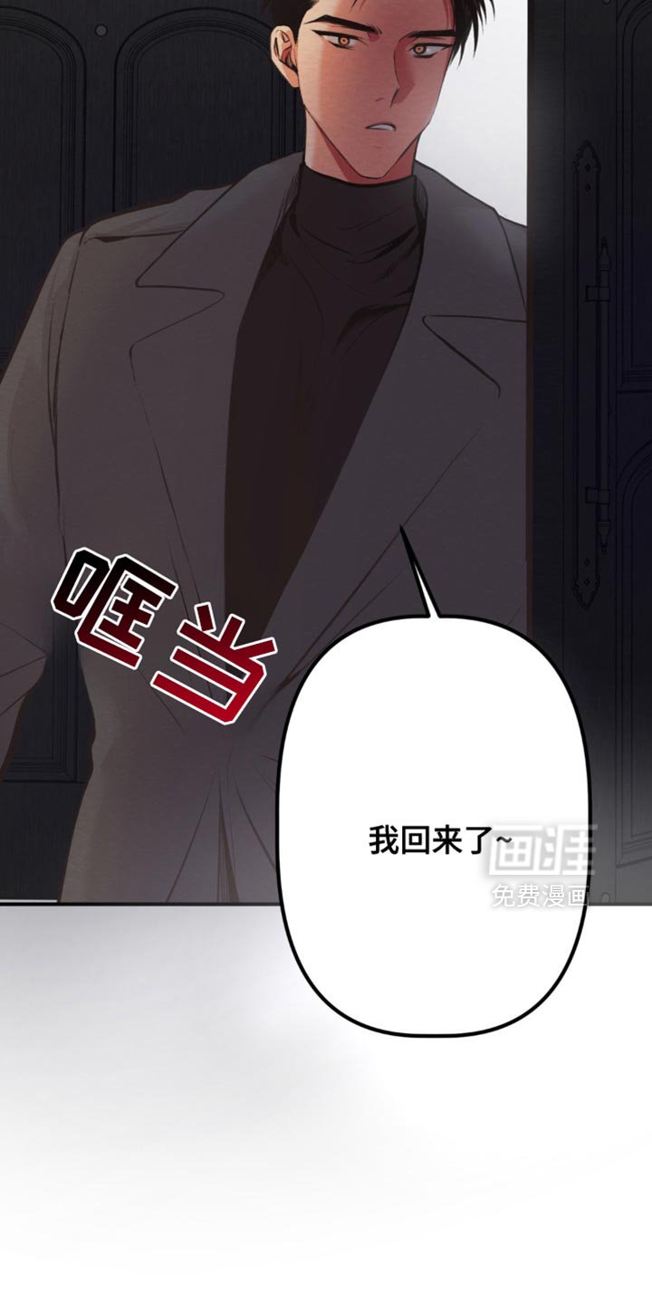 第56章：我回来了