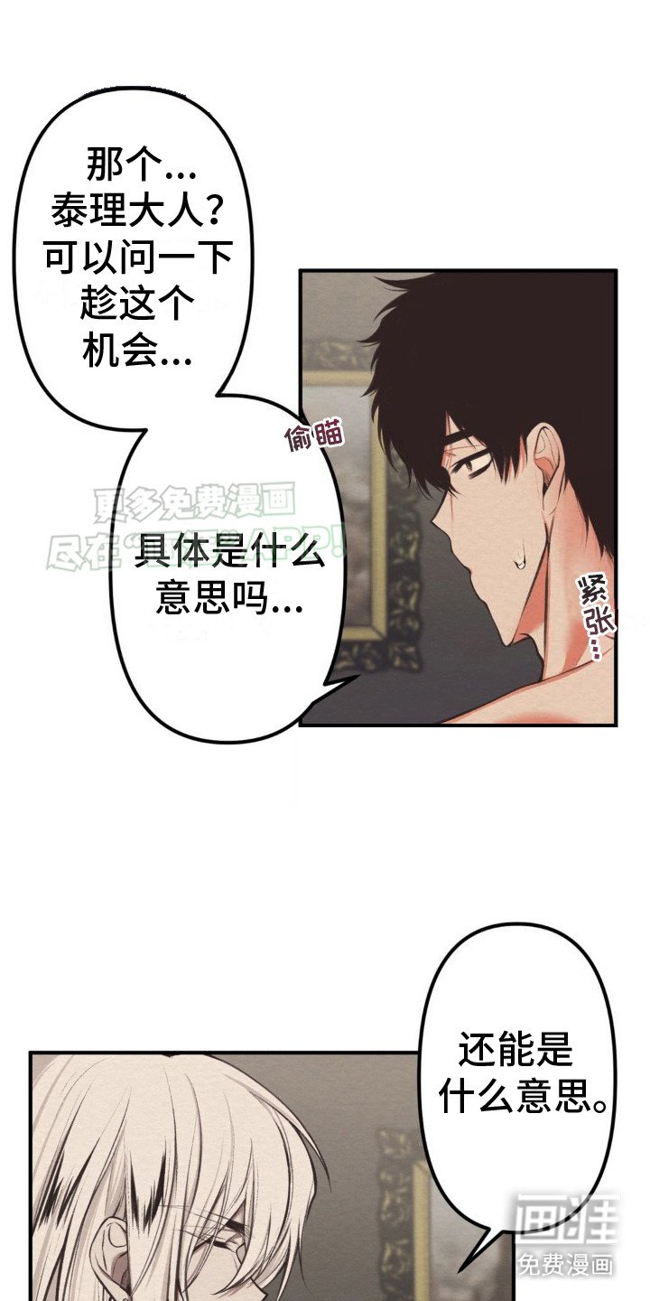 第6章：胡思乱想