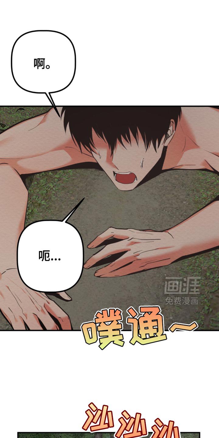 第62章：我要回魔塔了
