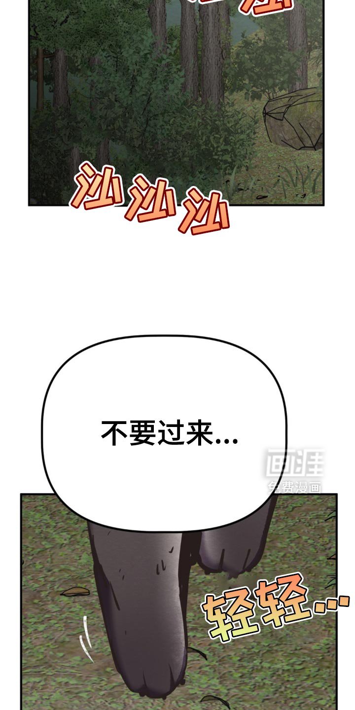 第62章：我要回魔塔了