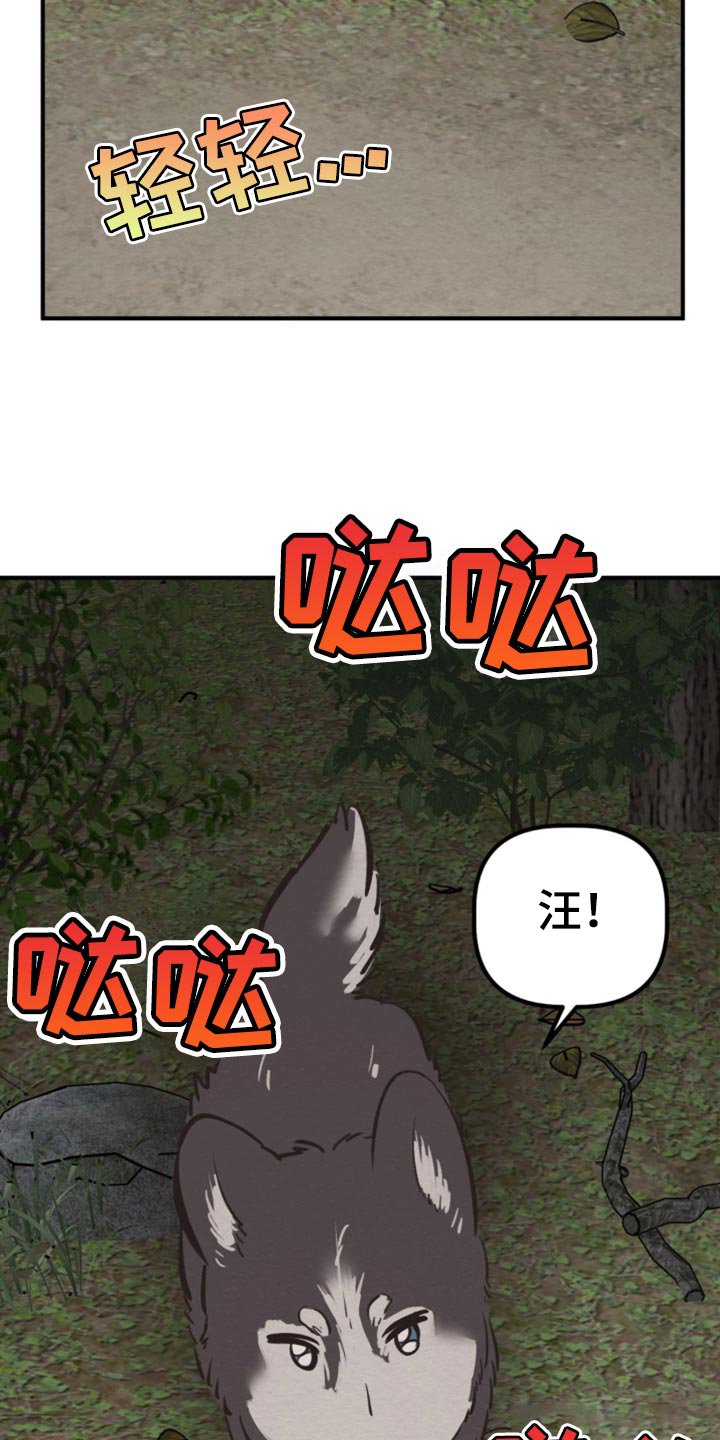第62章：我要回魔塔了