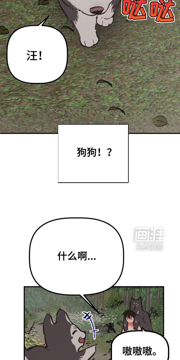 第62章：我要回魔塔了