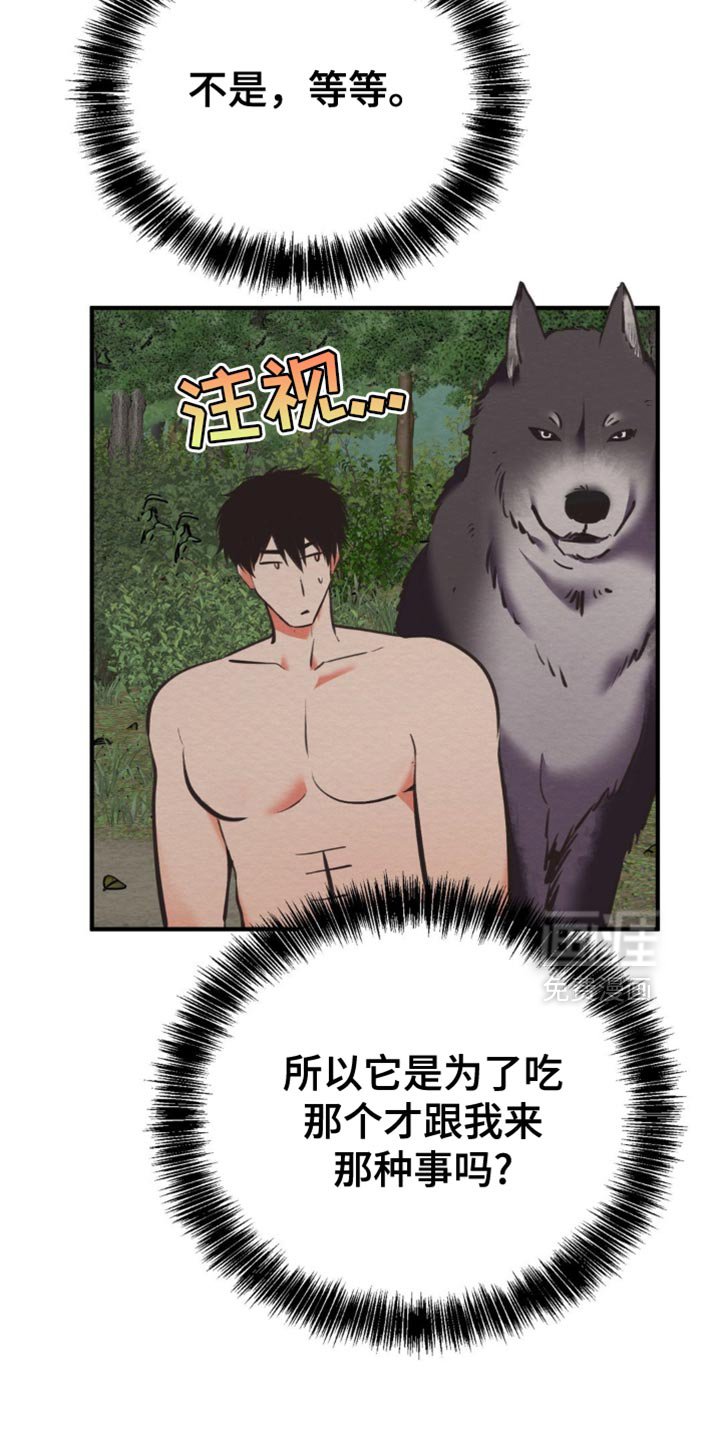 第62章：我要回魔塔了