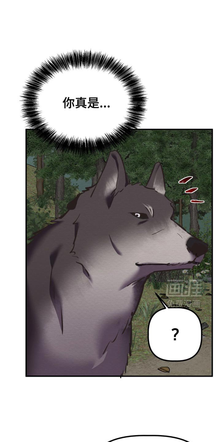 第62章：我要回魔塔了