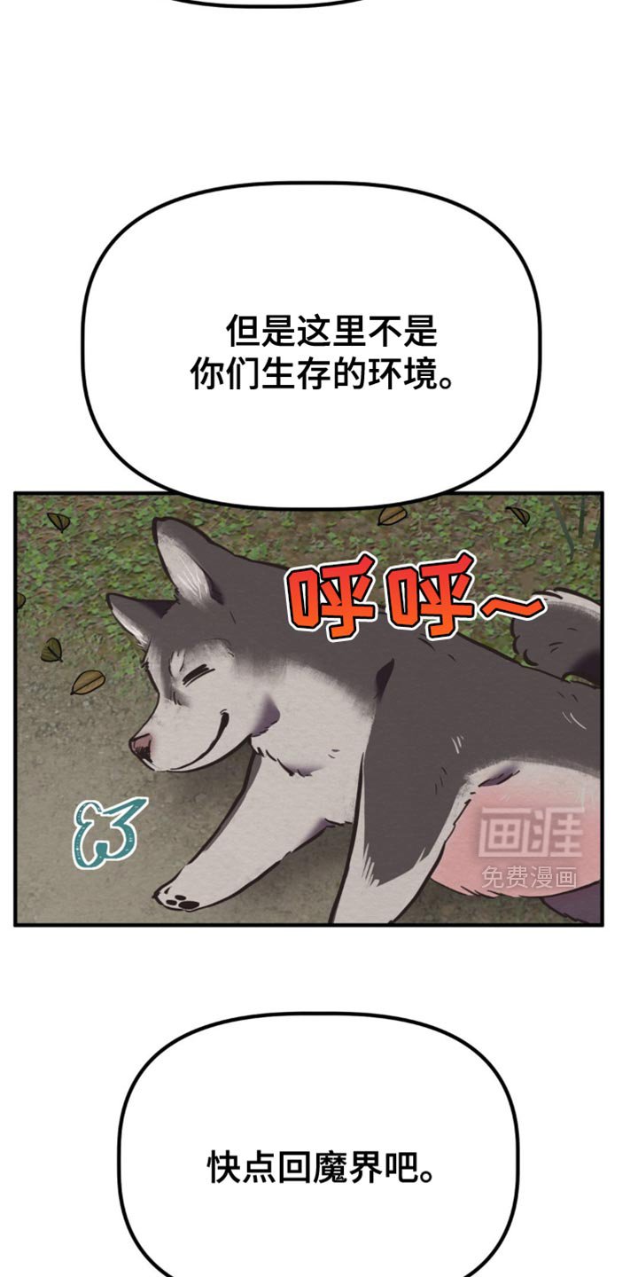 第62章：我要回魔塔了