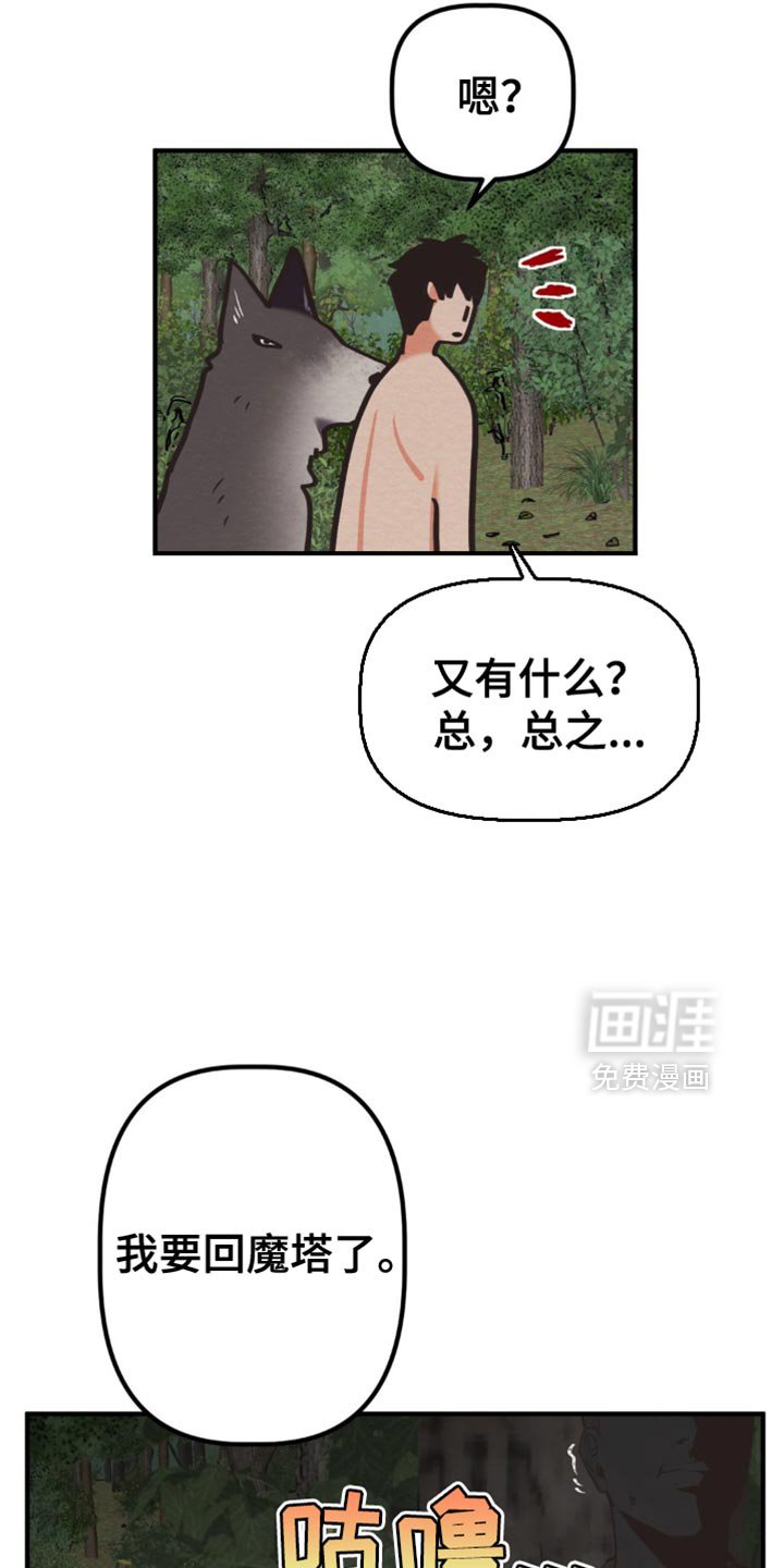 第62章：我要回魔塔了