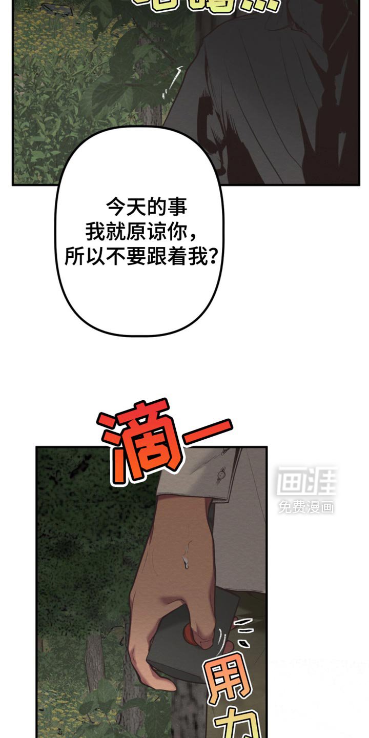 第62章：我要回魔塔了