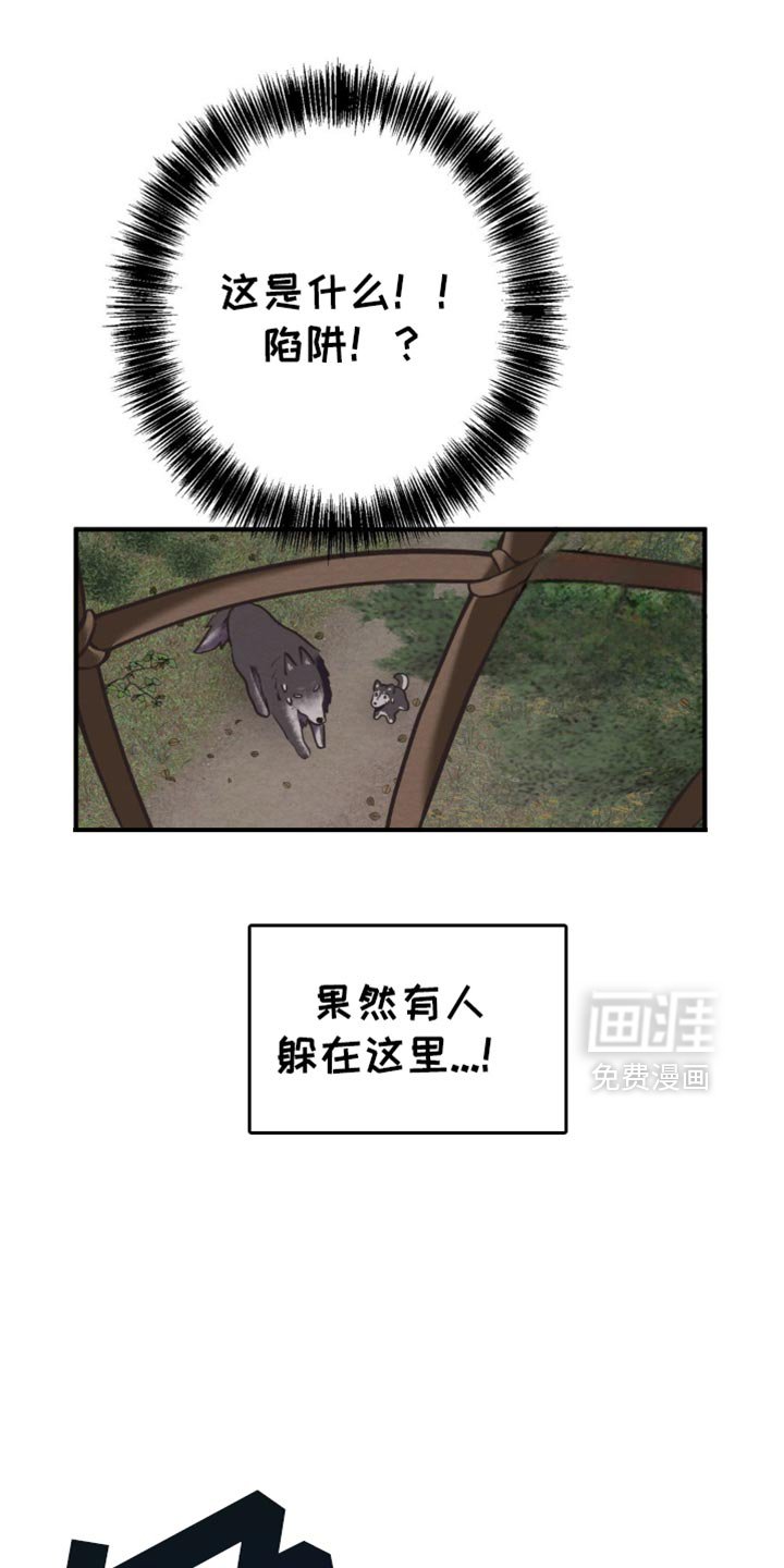 第63章：完整的种族