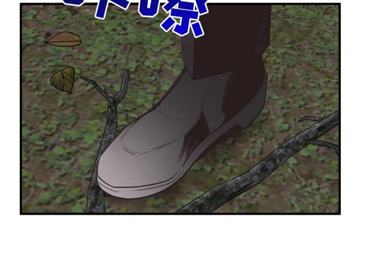 第63章：完整的种族