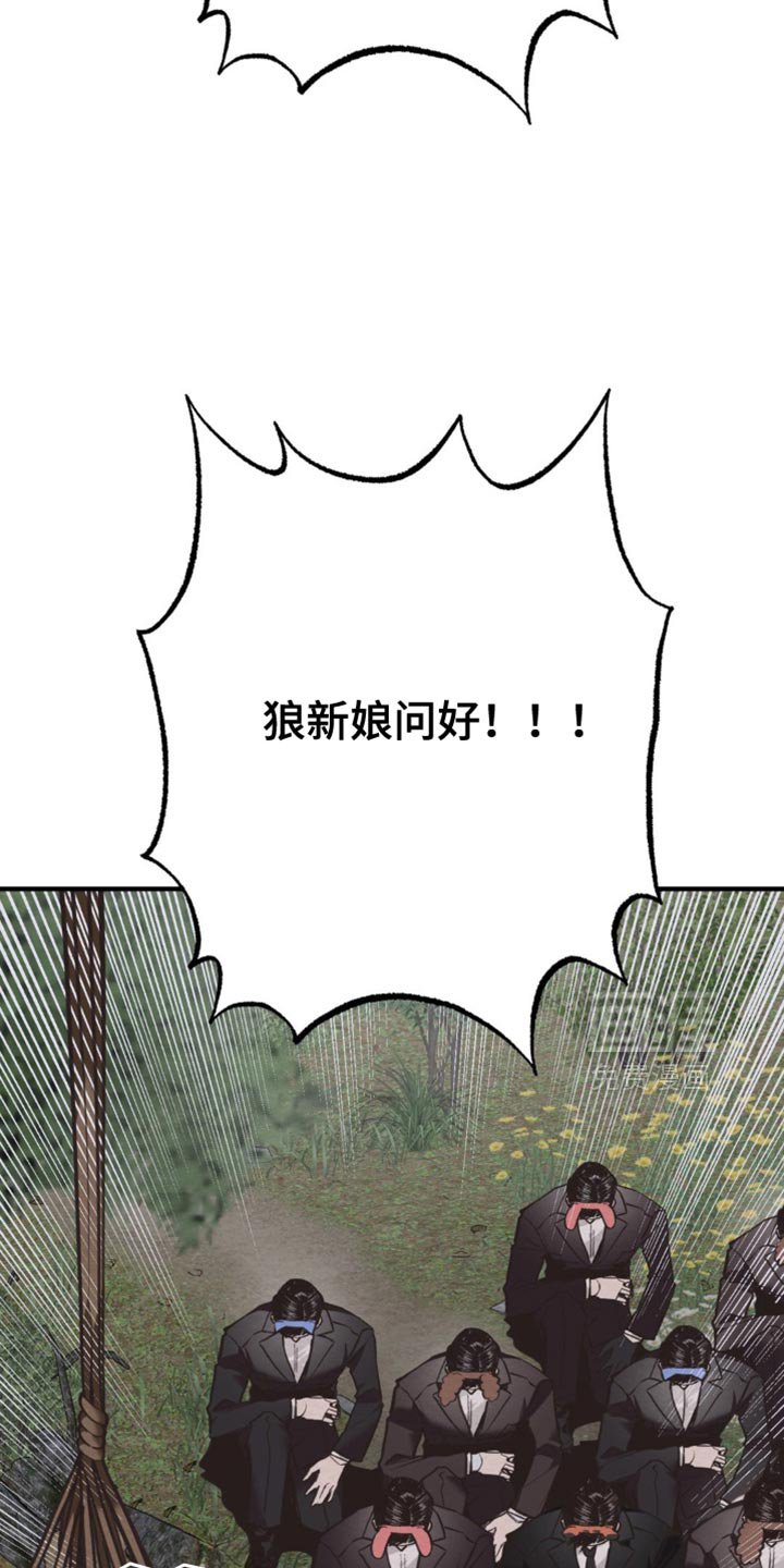 第63章：完整的种族