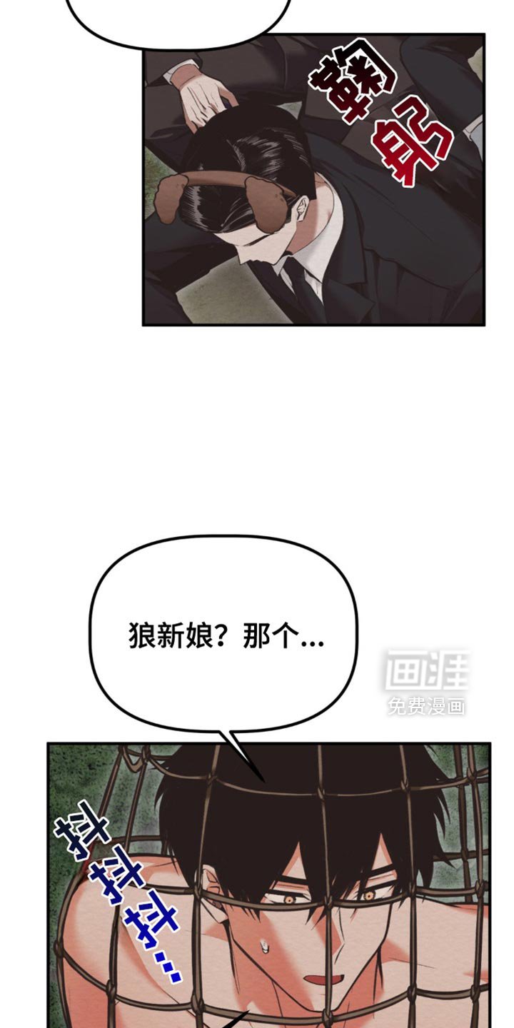 第63章：完整的种族
