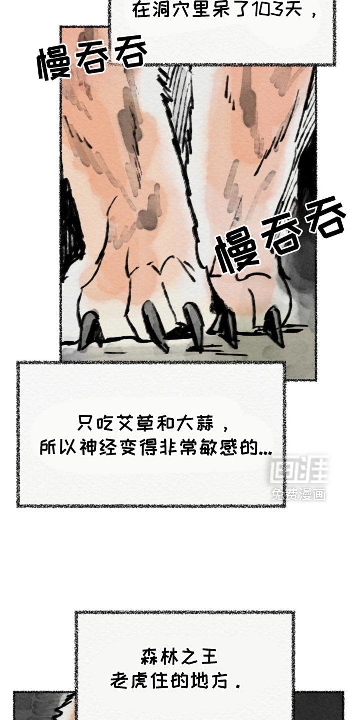 第63章：完整的种族