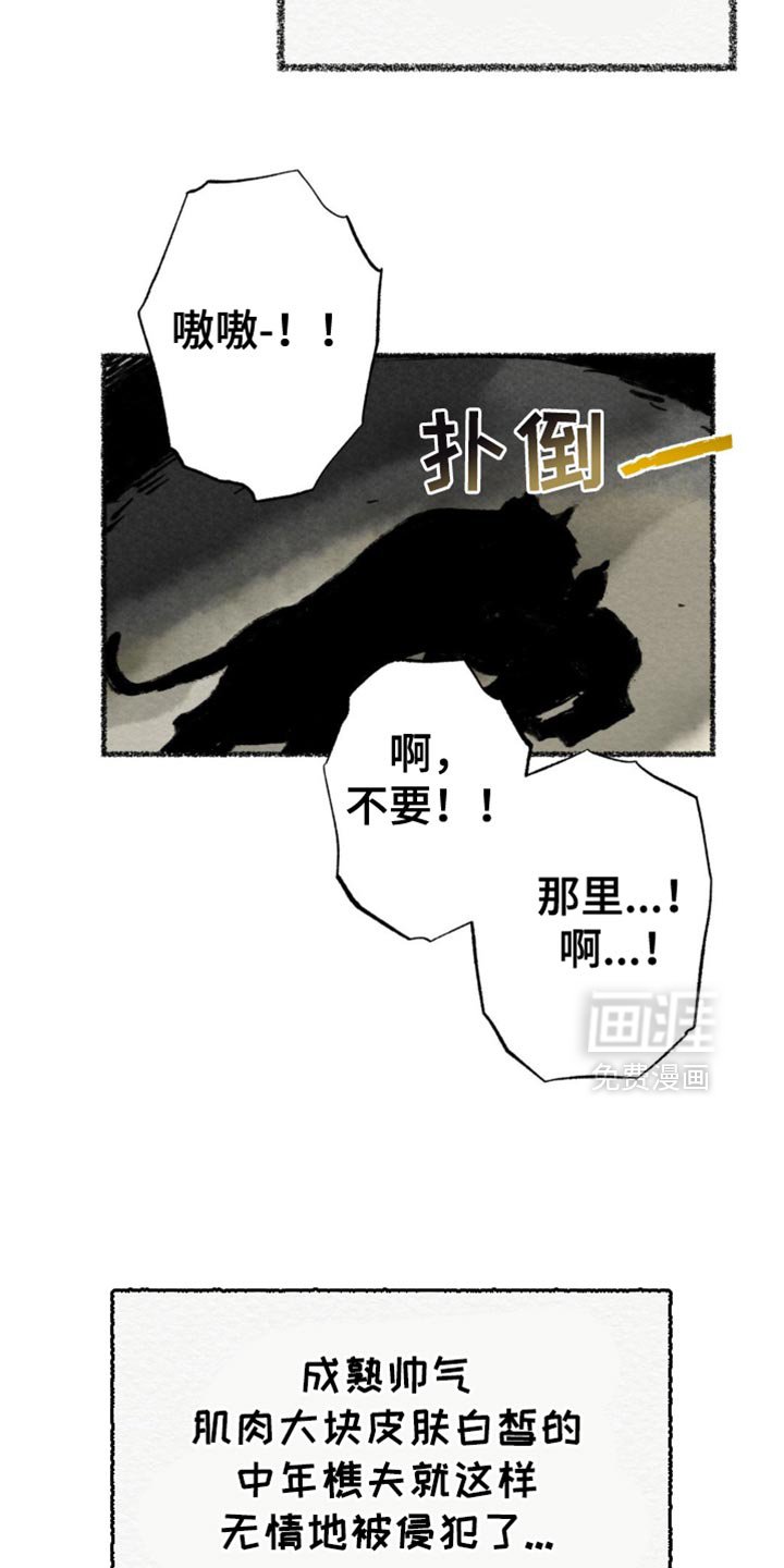 第63章：完整的种族