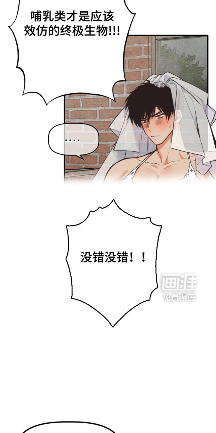 第64章：教诲