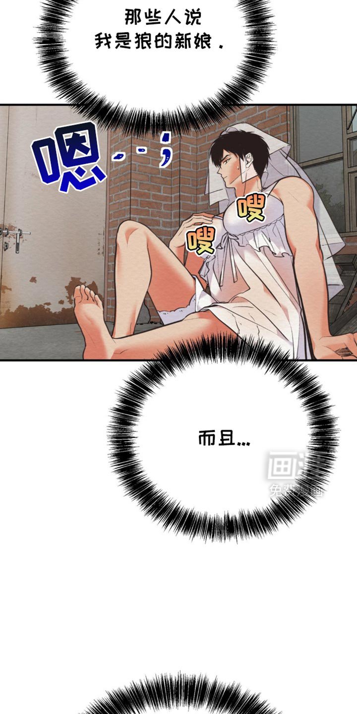 第64章：教诲