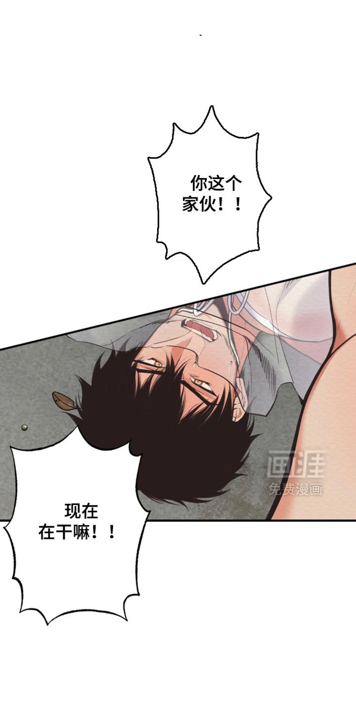 第65章：无谓的反抗