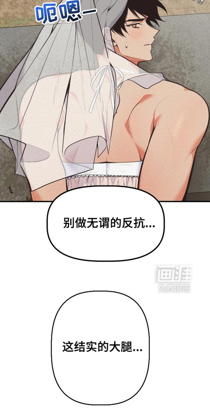 第65章：无谓的反抗