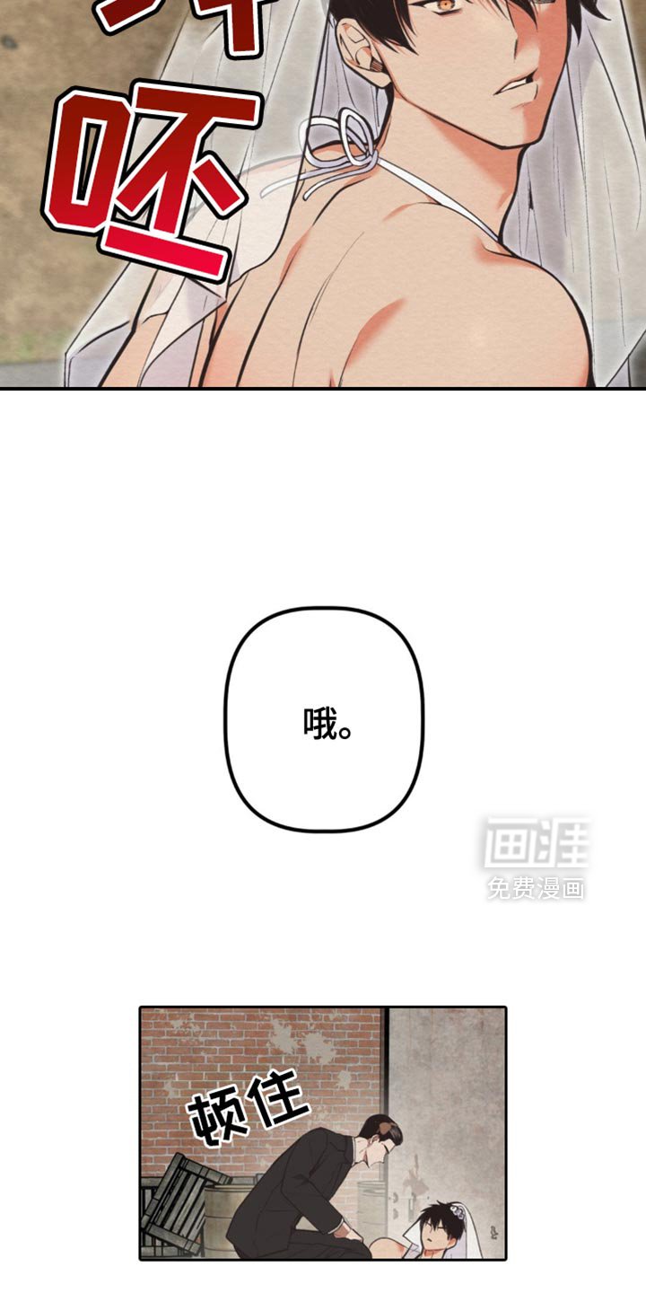 第65章：无谓的反抗