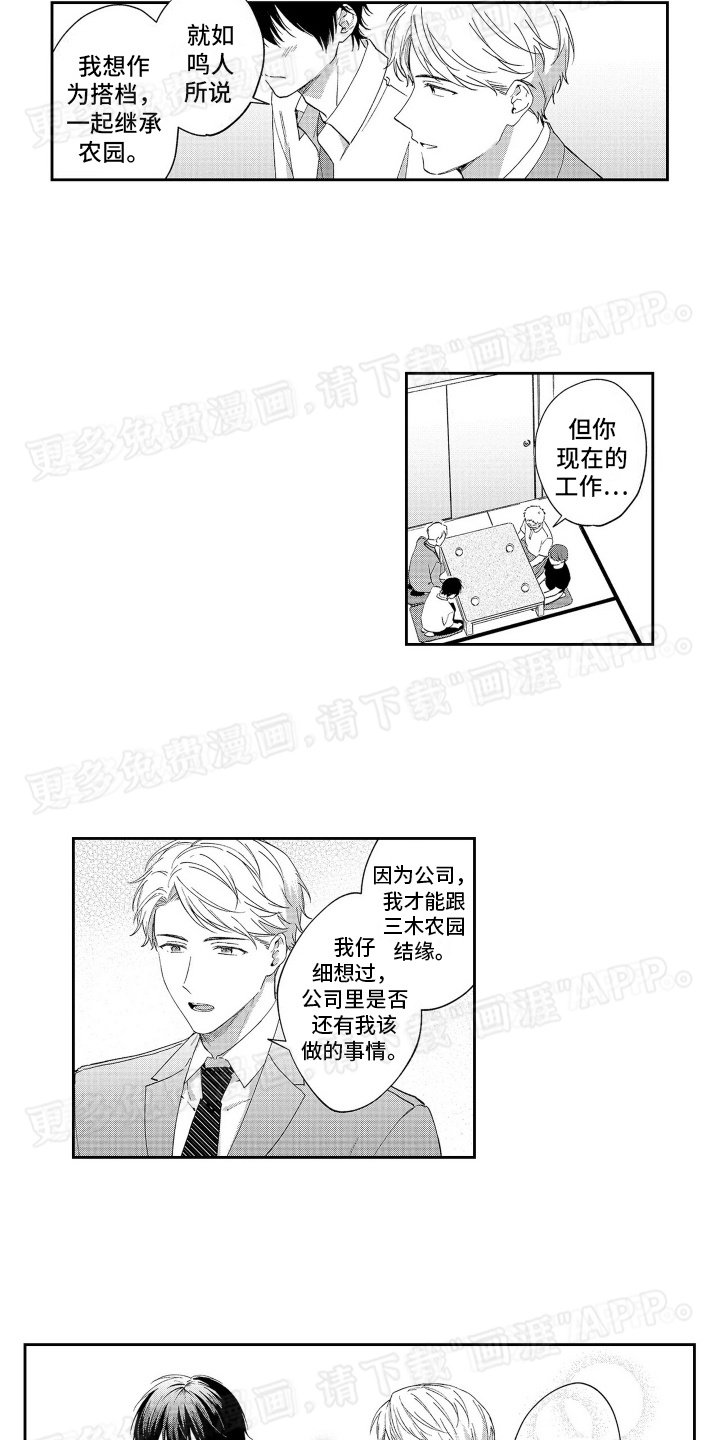 第18章：未来的打算