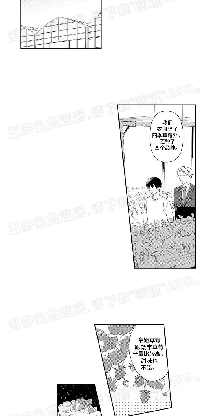 第9章：新草莓