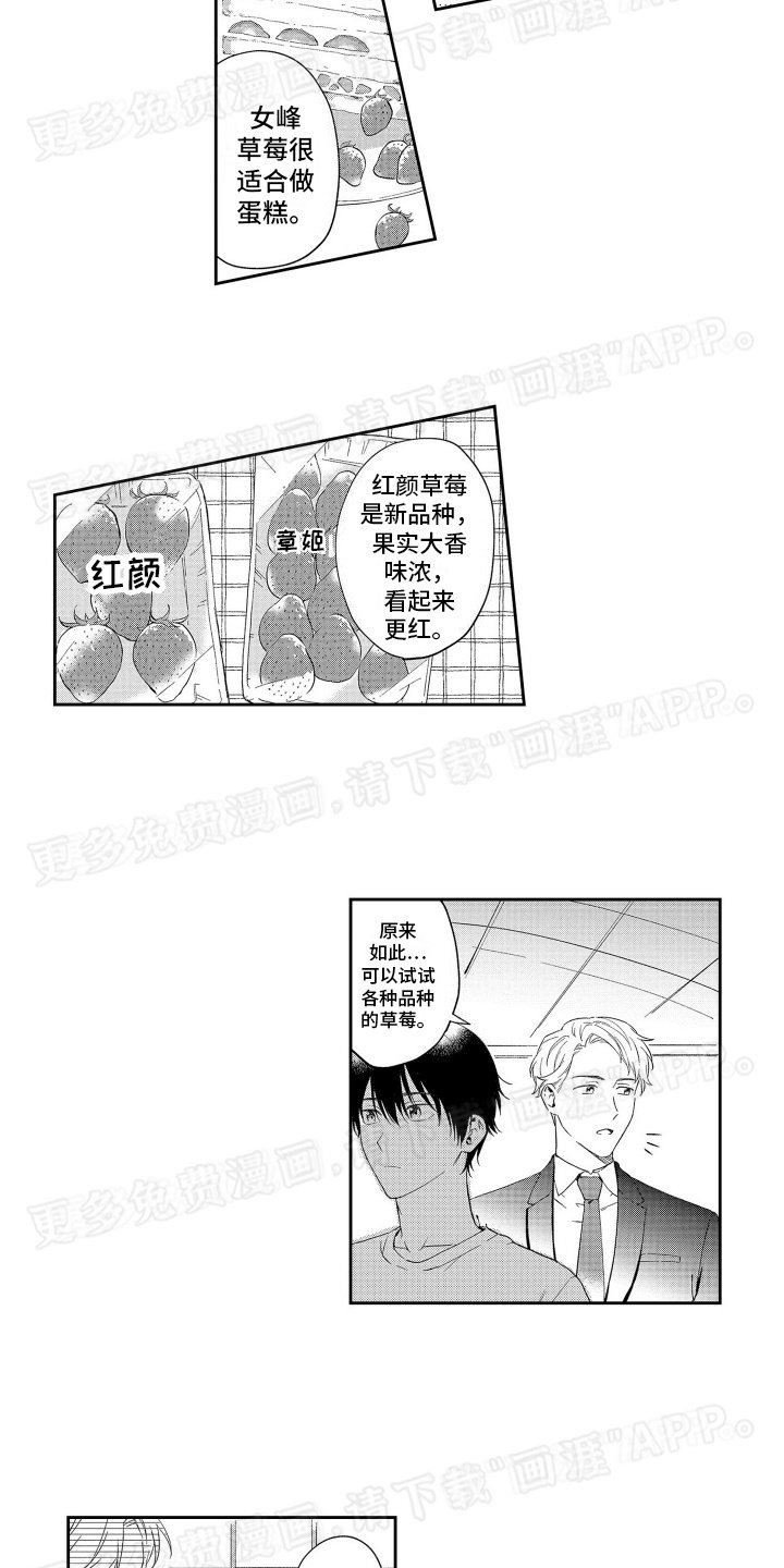 第9章：新草莓