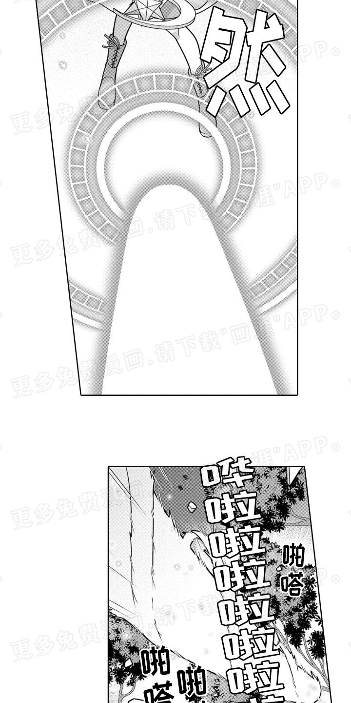 第4章：收拾森林