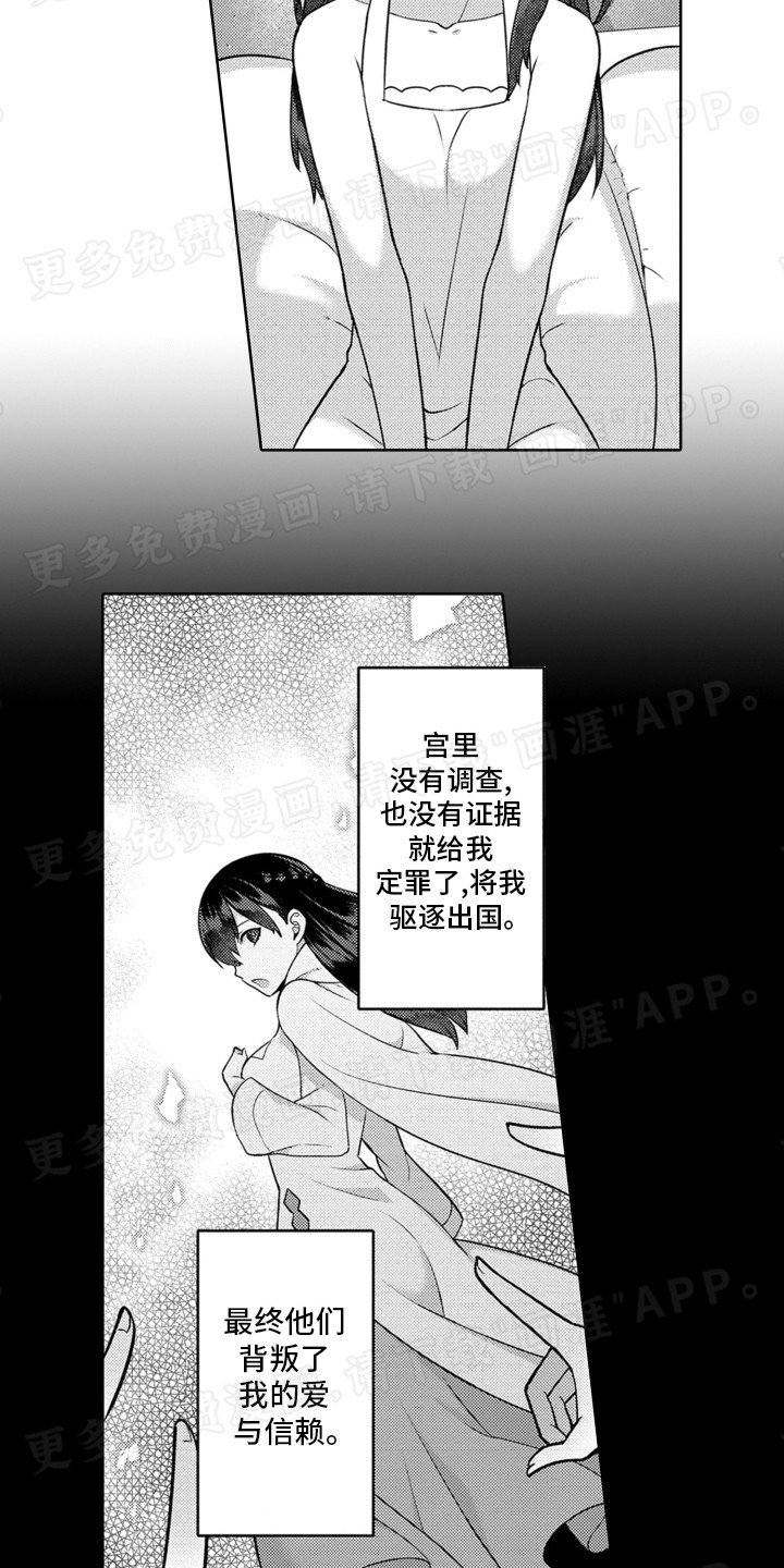 第5章：议论