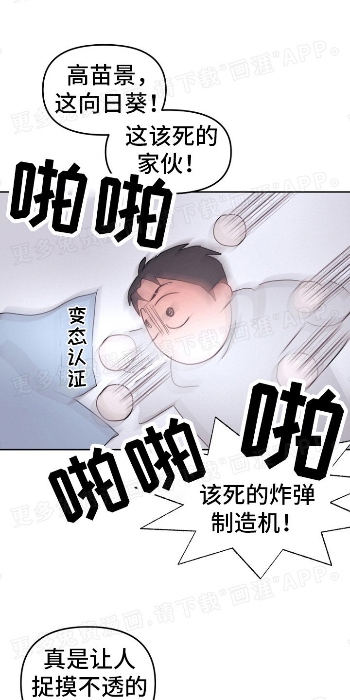 第16章：捉摸不透