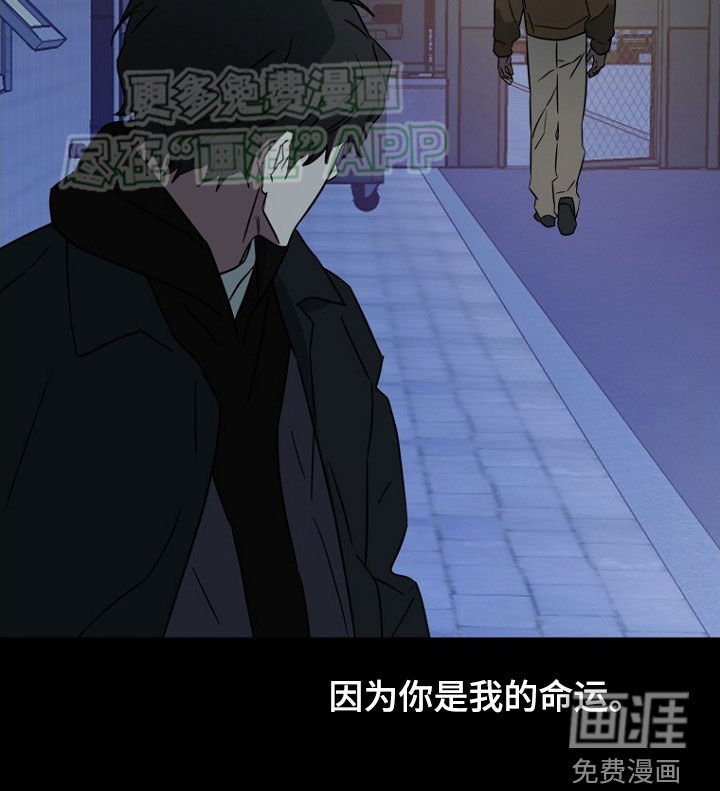 第23章：真正的爱