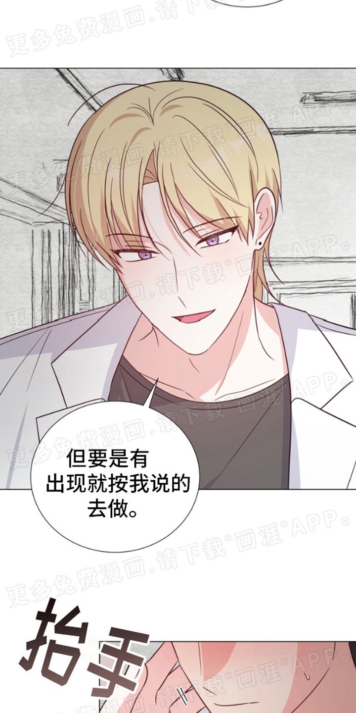 第6章：窗户