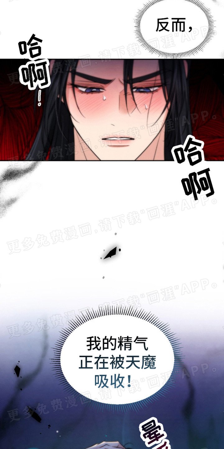 第11章：最强组合