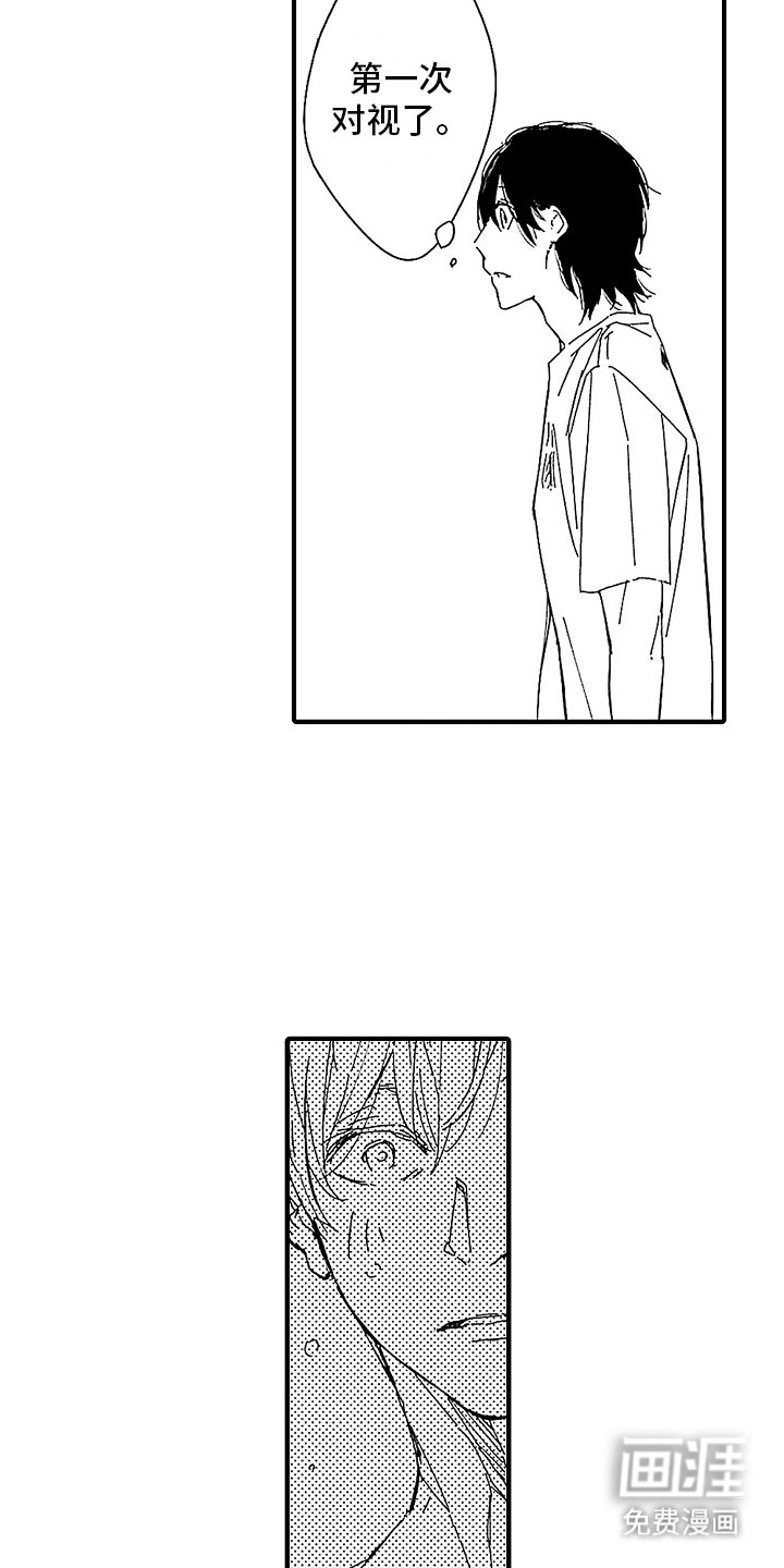 第4章：回家