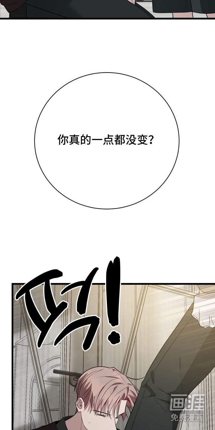 第11章：毫不犹豫
