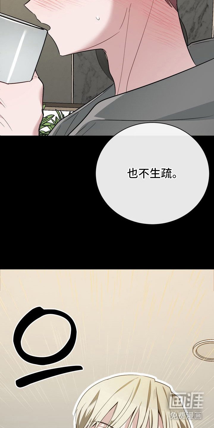 第17章：没有意义