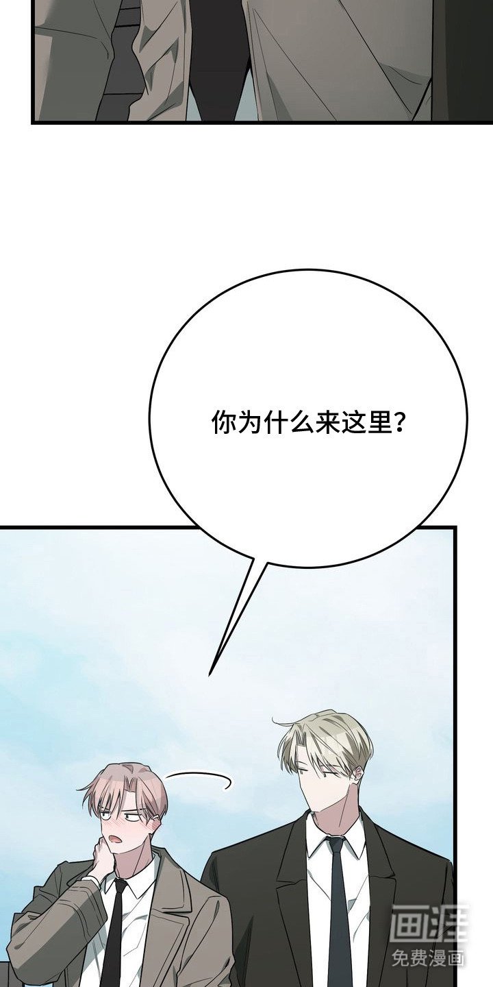 第20章：坦白