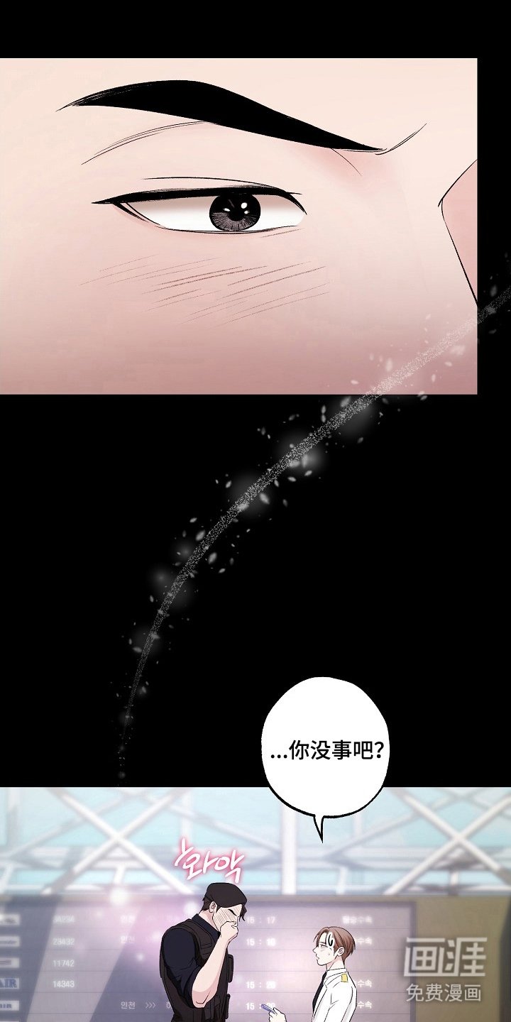 第4章：我爱你（完结）