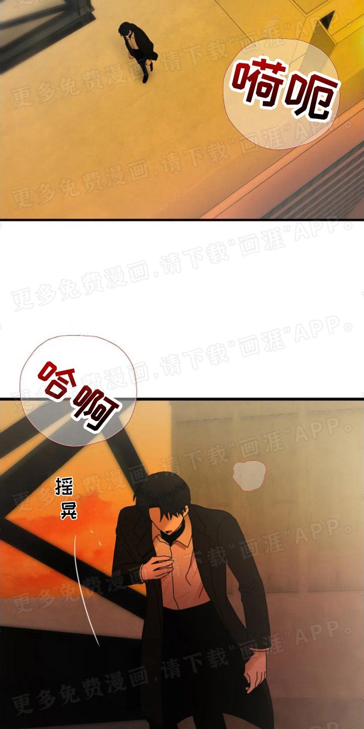 第14章：心动
