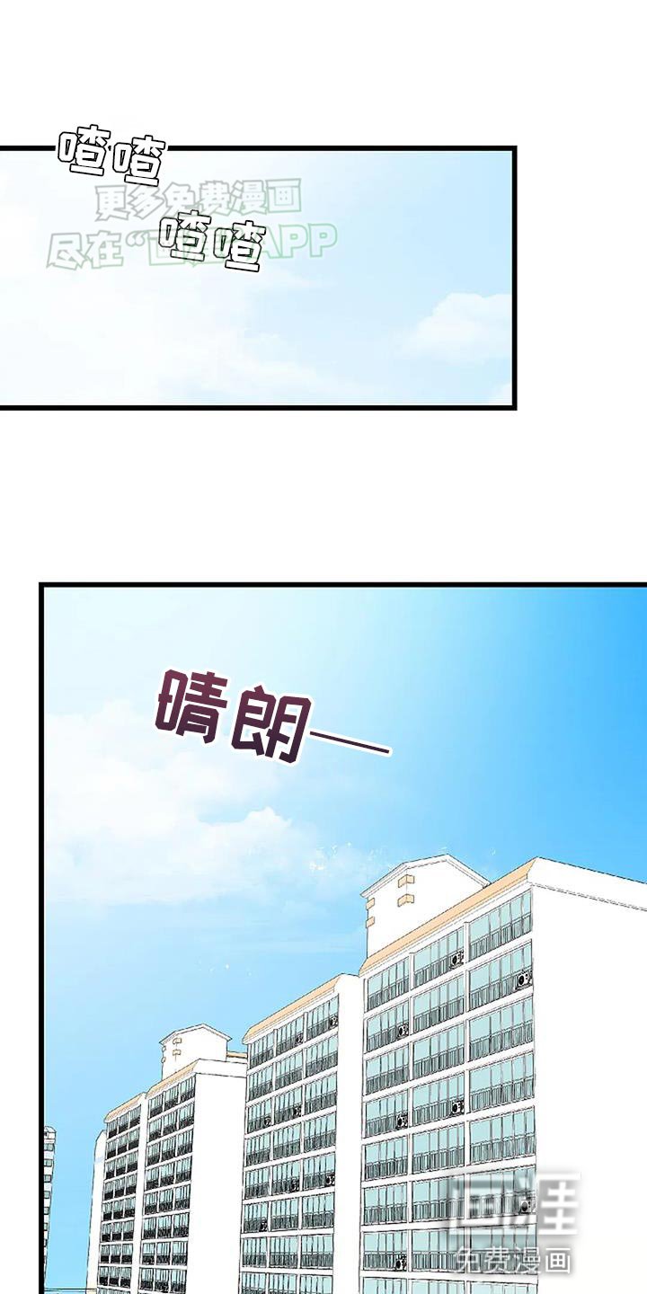 第28章：舒适