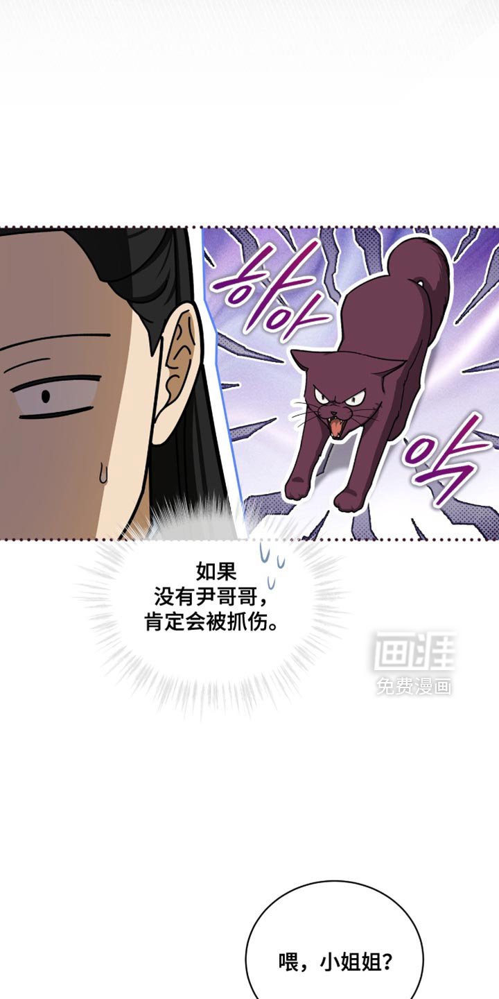第109章：【第二季】漂亮的猫小姐