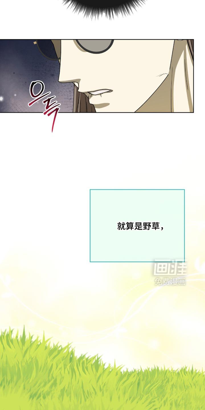 第114章：【第二季】奉献自我的花