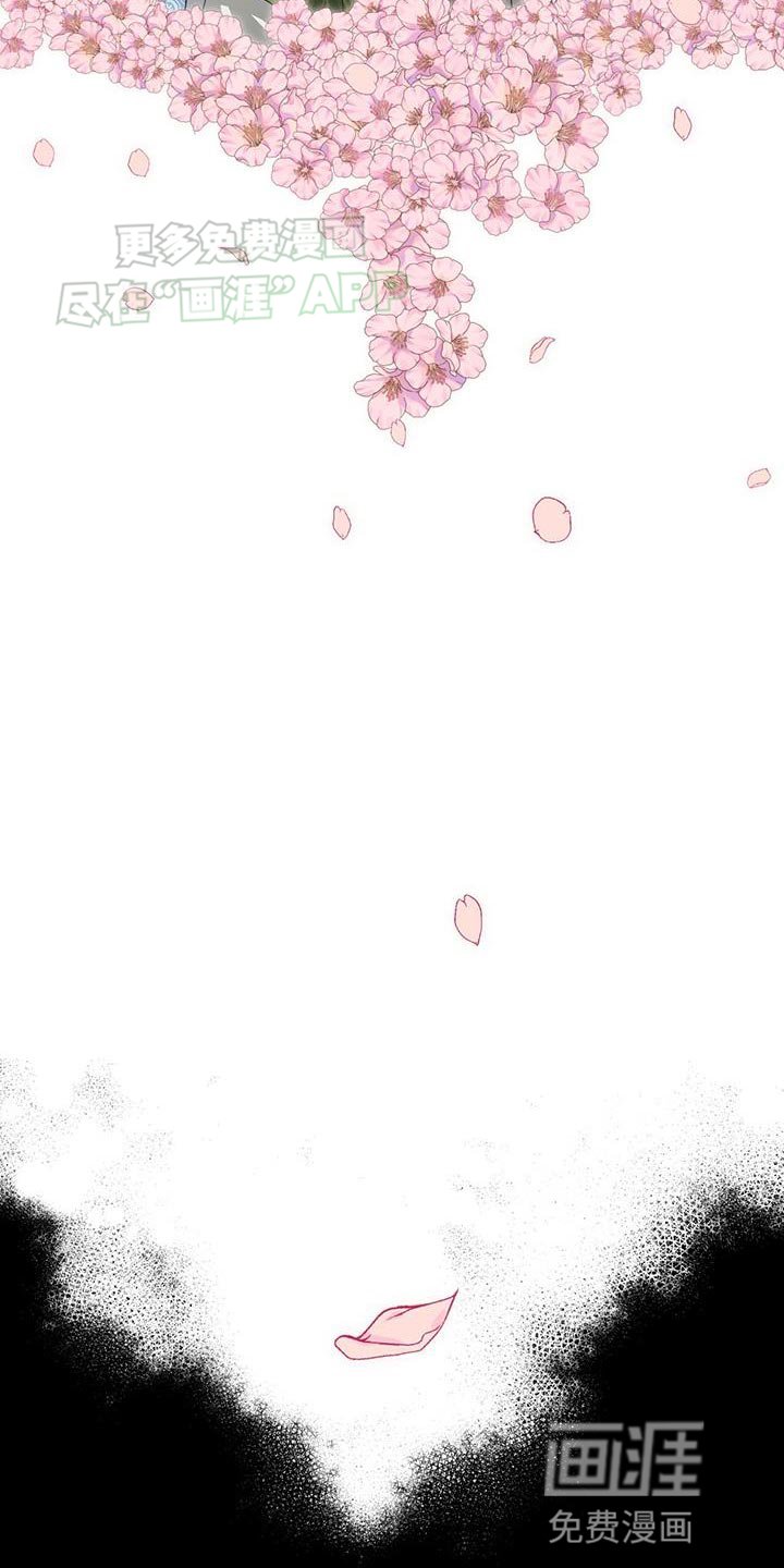 第19章：内幕