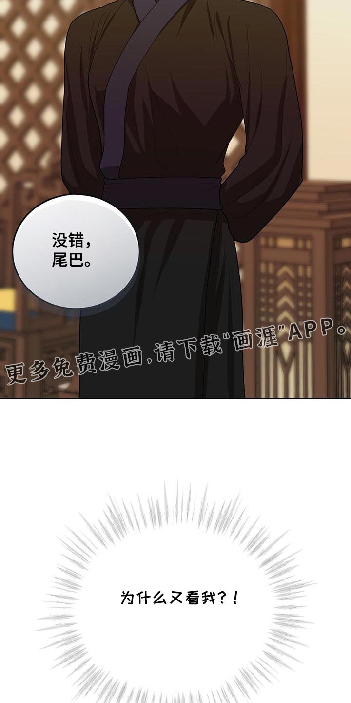 第54章：最好的尾巴
