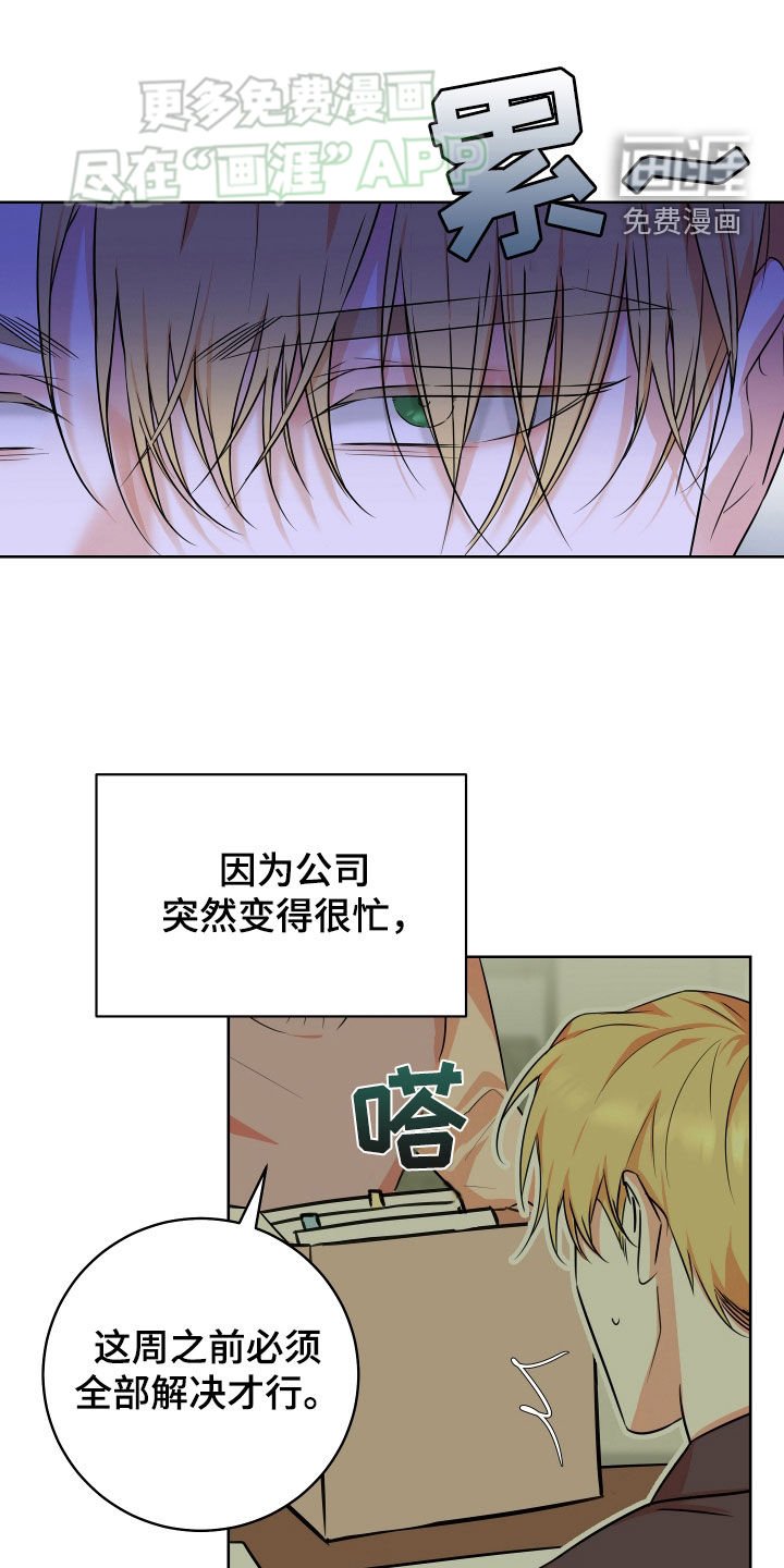 第19章：原因只有一个