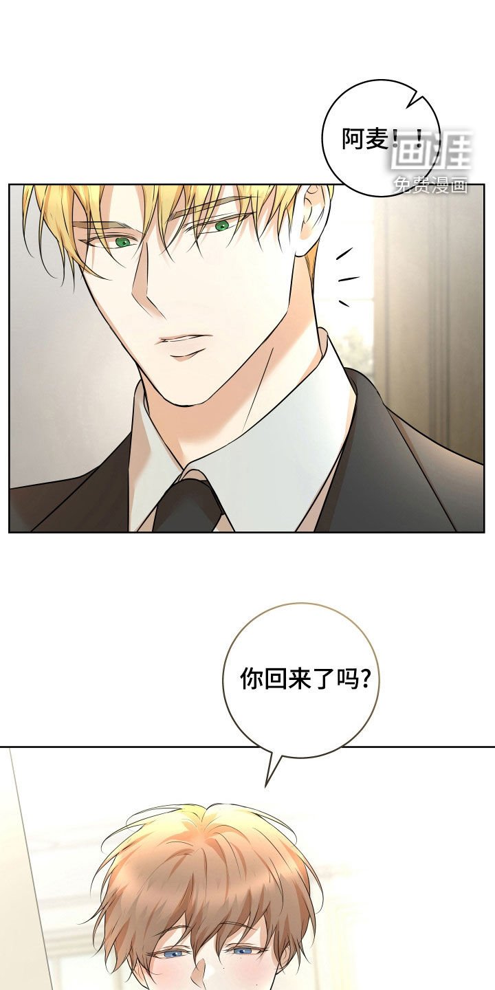 第32章：【番外】你看看我吧