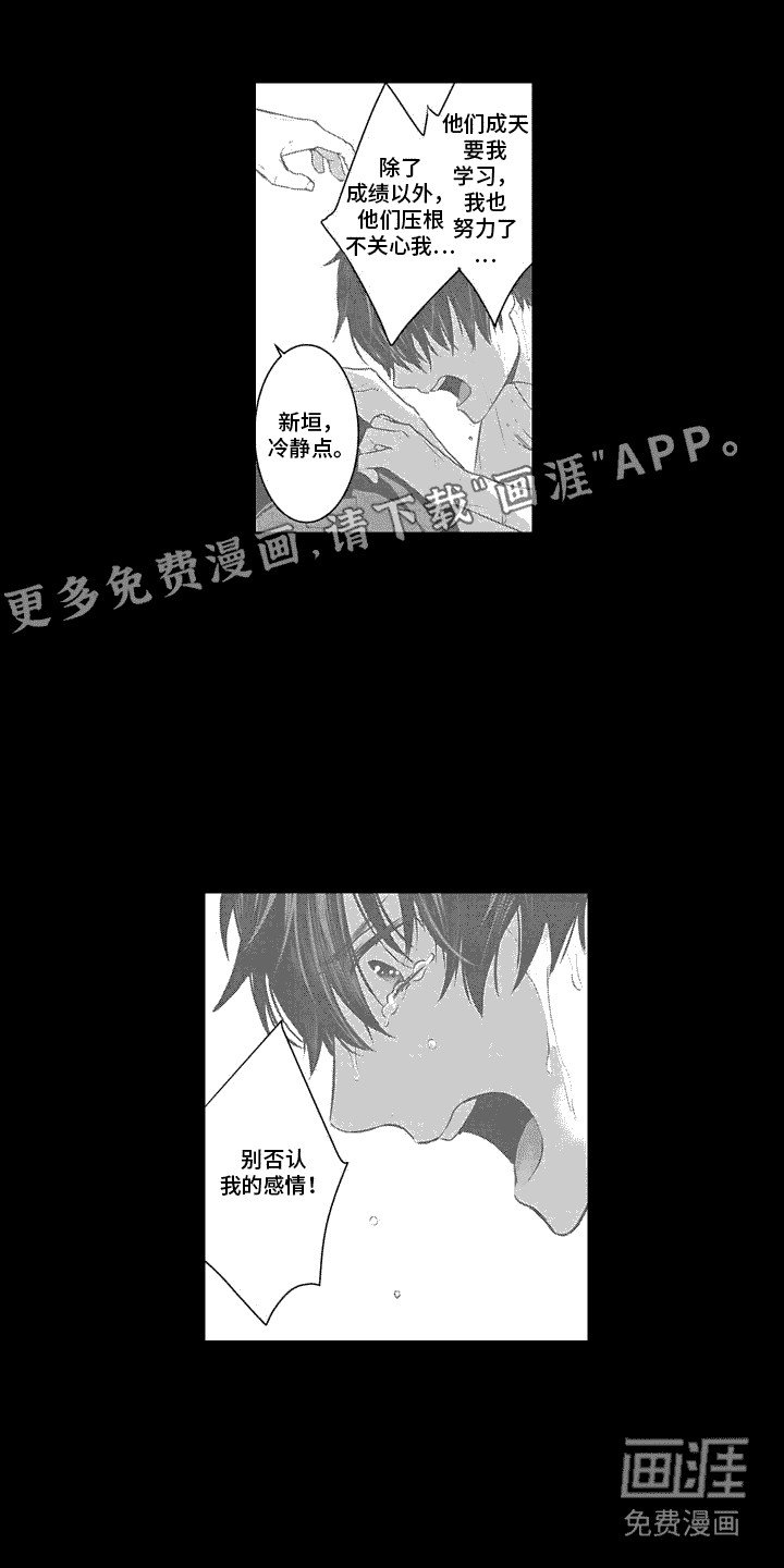 第13章：不排斥