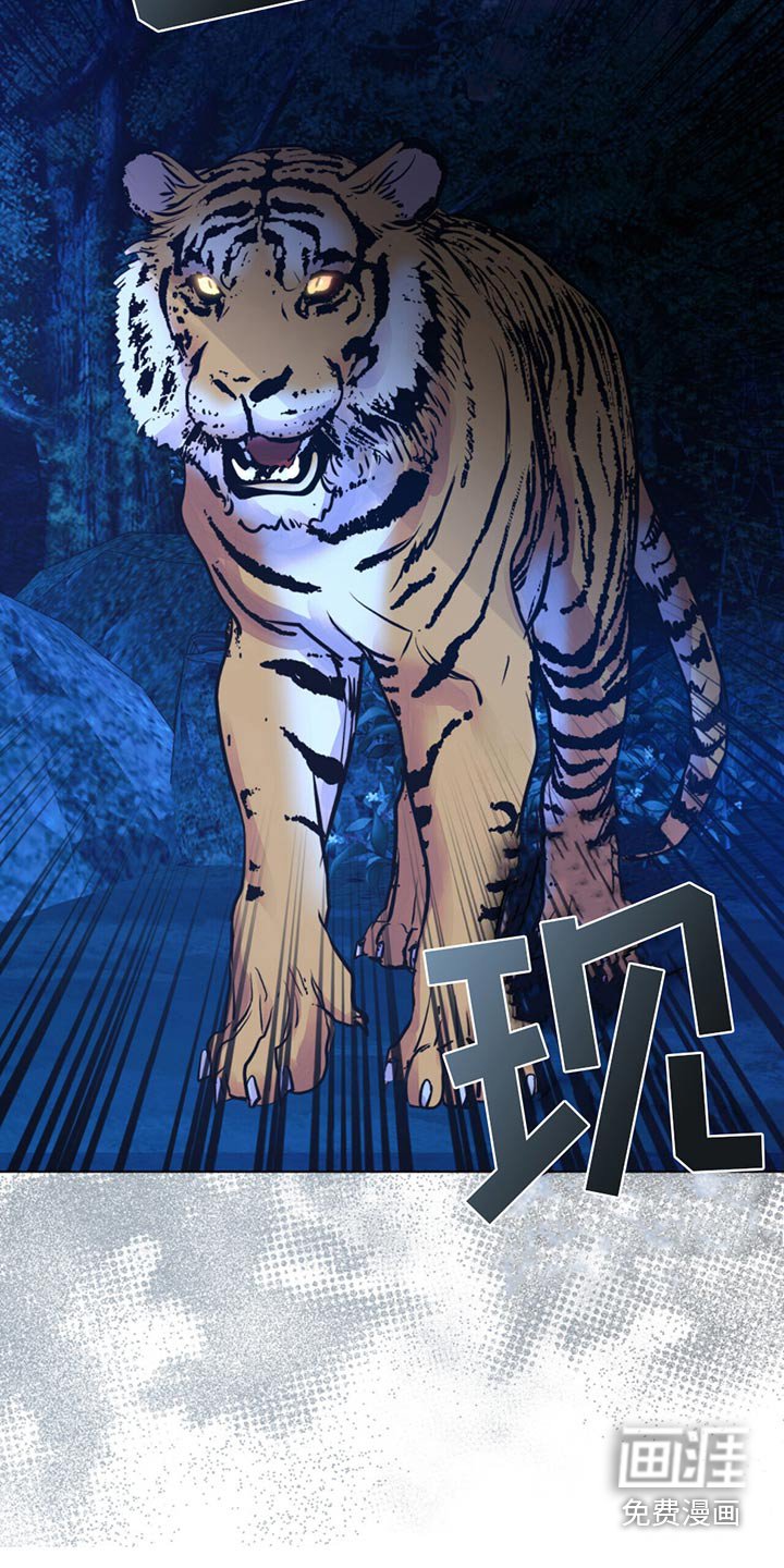 第26章：老虎